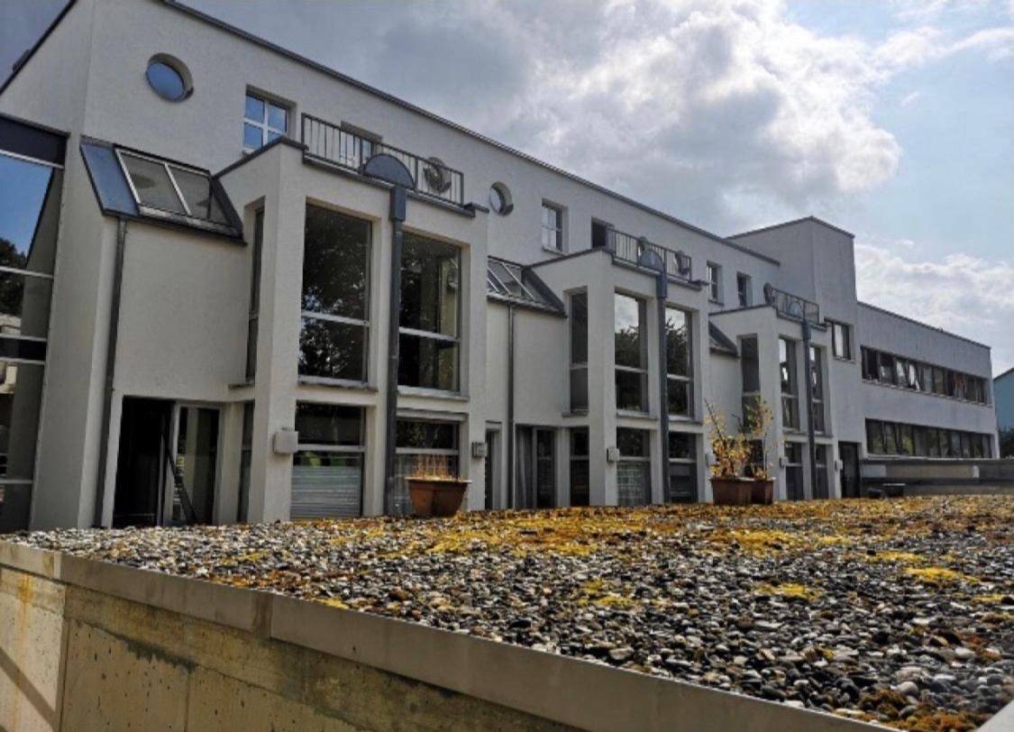 Nice Apartment , Next To University , Wifi&Free Parking Regensburg Exterior foto